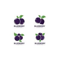 Blueberry logo vector template icon illustration