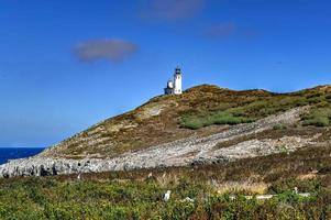 Anacapa island lighthouse with nesting seagulls at Channel Islands National Park in Ventura County California. photo