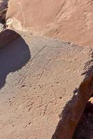 Bushman Rock Engravings - Namibia photo