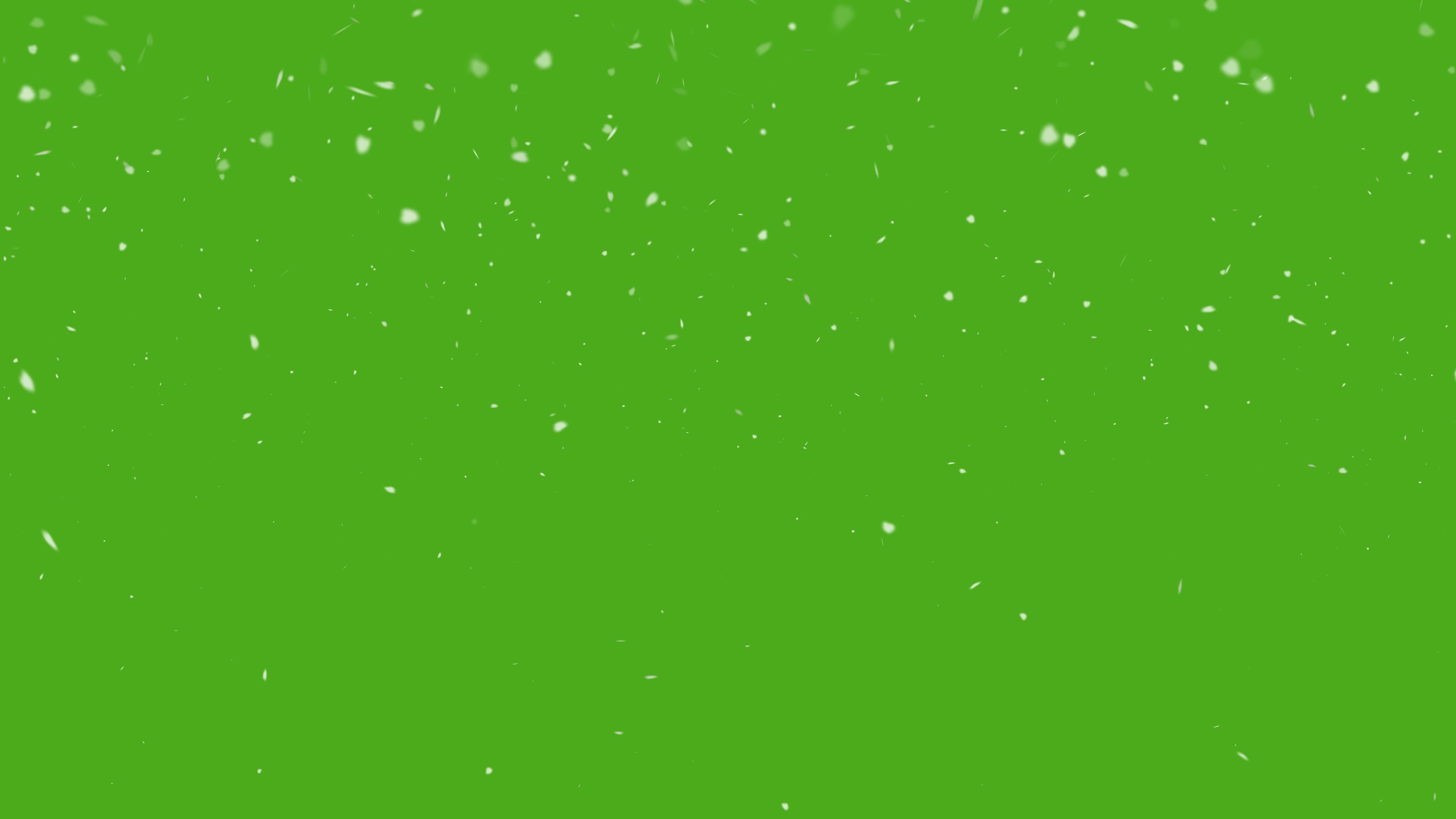 Snowfall overlay on green screen background. Realistic winter slowly