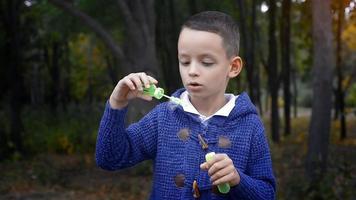 un niño con suéter azul sopla burbujas de jabón al aire libre en el parque video