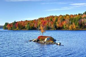 Rock Island Bay Fall Foliage, New York photo