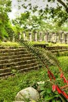 Templo de los Guerreros, Temple of the Warriors, Chichen Itza in Yucatan, Mexico, a UNESCO World Heritage Site. photo