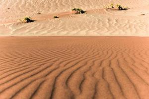 desierto de sossusvlei, namibia foto