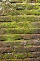 Red brick with moss on the surface photo