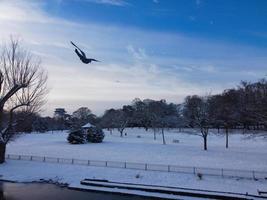 Magnífica vista del parque público local después de la caída de nieve sobre Inglaterra foto