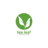 ilustración de icono de vector de logotipo de hoja de té