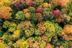 Aerial view of Mount Mansfield and the surrounding area during peak foilage in Fall in Vermont. photo