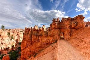 el anfiteatro en el parque nacional bryce canyon en utah, estados unidos. foto