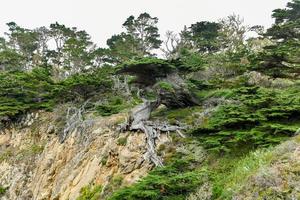 reserva natural del estado de point lobos justo al sur de carmel-by-the-sea, california, estados unidos, y en el extremo norte de la costa big sur del océano pacífico foto