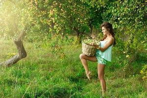 Happy woman in garden during a picking apples photo