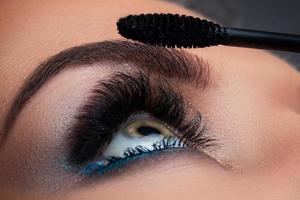 Close up of female eye with beautiful long lashes photo