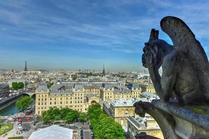 The Paris skyline from the Notre Dame de Paris, Cathedral in France. photo