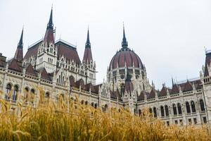 Hungarian Parliament Building - Budapest, Hungary photo