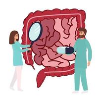 Gut organ medical checkup, health intestine and digestive. Doctor examining gastrointestinal tract. Medical gut disease treatment. Vector illustration