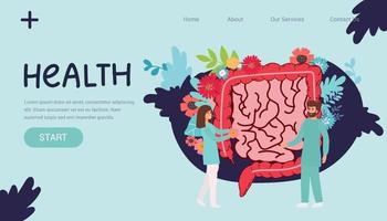 Gut organ medical checkup, health intestine and digestive. Doctor examining gastrointestinal tract. Medical gut disease treatment. Vector illustration.