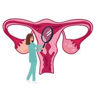 ciclo menstrual femenino. doctora que sigue el ciclo menstrual. ilustración vectorial del sistema reproductor femenino. vector