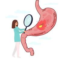 grupo de médicos revisan el estómago humano. un médico que sostiene un zoom de lupa en el estómago, una doctora que usa estetoscopio, explica los síntomas y el tratamiento, el sistema digestivo, intestinal y gastro. vector