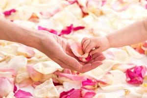 Female and baby hands with rose petals photo