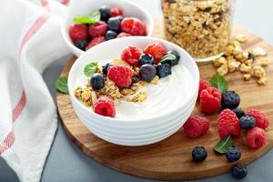 Plain yougurt with granola on side photo