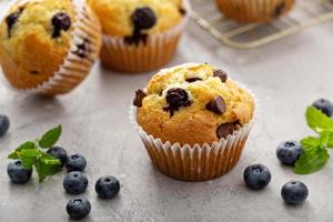 Chocolate chip and blueberry muffin freshly baked photo