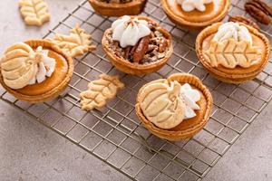 Mini pumpkin and pecan pies baked in muffin tin photo