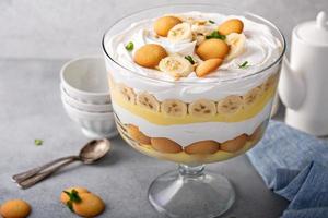 Banana pudding trifle in a large digh photo