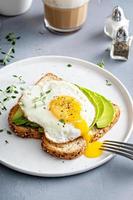 Avocado toast on a toasted multigrain bread with a fried egg photo