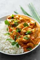 Chicken and cashew red curry photo