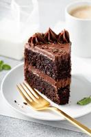 Dark chocolate cake slice photo