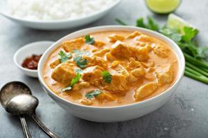 Chicken and cashew red curry photo