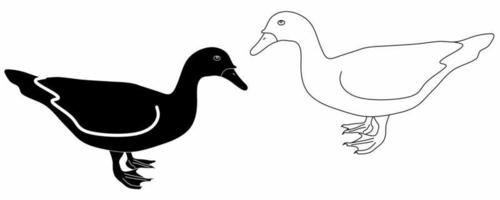 outline silhouette Cairina moschata domestica icon set isolated on white background.muscovy duck vector