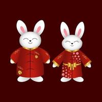 Chinese rabbits, bunnies, hare in red kimono. Vector illustration. Cchinese new year design element.