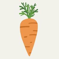 Doodle freehand simplicity drawing of carrot. vector