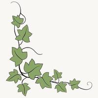 Floral ivy drawing decorative ornament flat design. vector