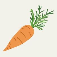 Doodle freehand simplicity drawing of carrot. vector