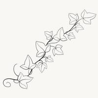 Floral ivy drawing decorative ornament flat design. vector