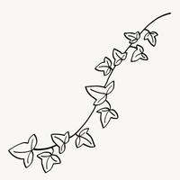 Floral ivy drawing decorative ornament flat design. vector