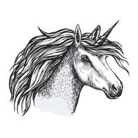 Unicorn horse with horn sketch of magic animal vector