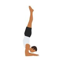 Man doing Feathered Peacock Pose, Forearm Stand. Practice Pincha Mayurasana. Flat vector illustration isolated on white background