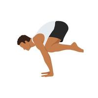 hombre haciendo pose de grúa - pose de yoga bakasana. hombre entrenamiento fitness, aeróbicos y ejercicios. ilustración vectorial plana aislada sobre fondo blanco vector