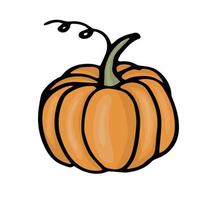 Hand drawn pumpkin in doodle style vector