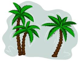 Hand-drawn Tropical Palm trees vector