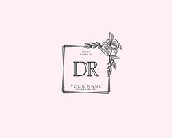 Initial DR beauty monogram and elegant logo design, handwriting logo of initial signature, wedding, fashion, floral and botanical with creative template. vector