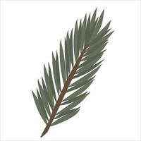 Hand-drawn fir or pine tree branch isolated on white background vector