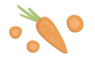 Hand drawn Carrot in cartoon style. Healthy food elements. Vector illustration isolated on white background