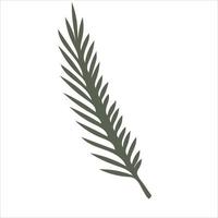 Hand-drawn fir or pine tree branch isolated on white background vector