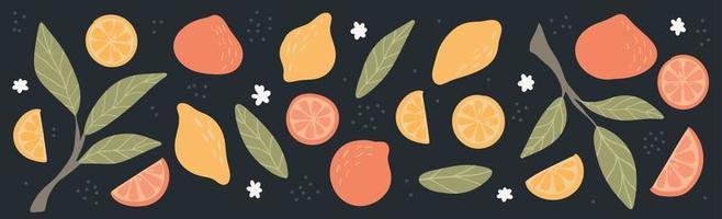 Abstract modern set of fresh citrus fruit. Vector summer Isolated food elements