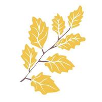 rama dibujada a mano con hojas de otoño. dibujo botánico vector