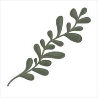 Hand drawn branch with leaves isolated on white background vector